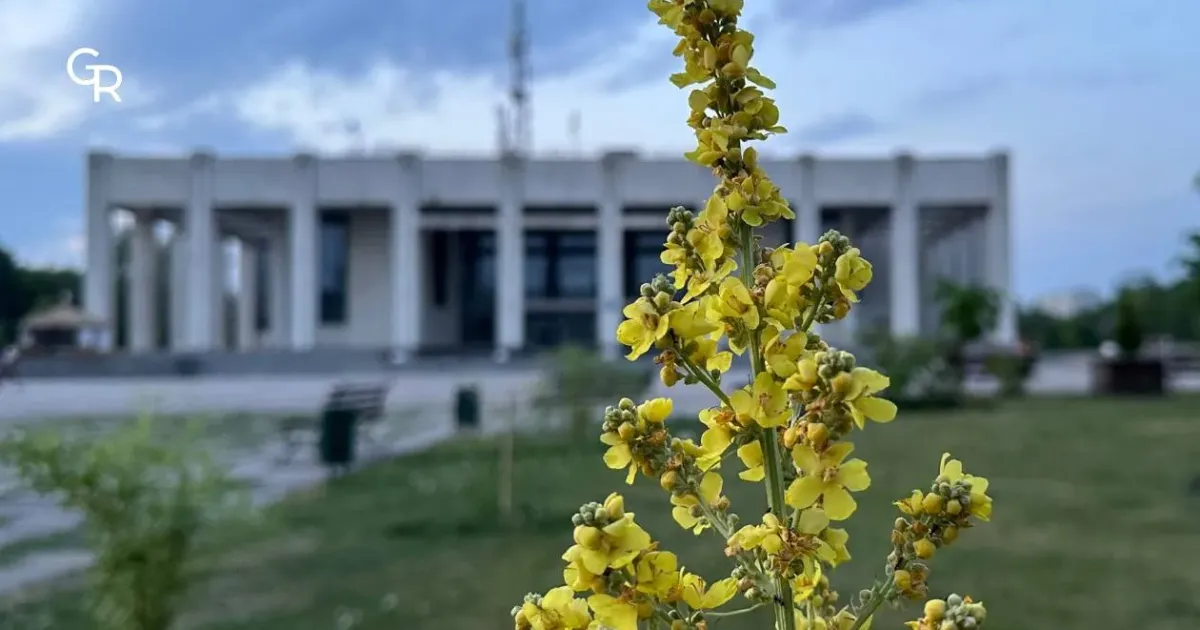 Фото Gromada Group Міська рада закликає первомайців долучитися до озеленення міста на порталі Gromada Group